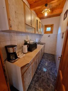 eine Küche mit einer Arbeitsplatte und einer Mikrowelle in der Unterkunft Cabana rustica de vacanta in Braşov