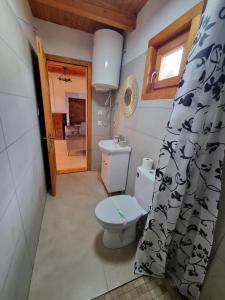 ein Bad mit einem WC und einem Duschvorhang in der Unterkunft Cabana rustica de vacanta in Braşov