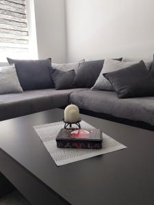 布拉戈耶夫格勒Апартамент Слави的客厅里有一张沙发和一张桌子。