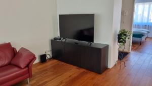 TV a/nebo společenská místnost v ubytování Apartment Heidi