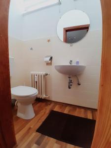 a bathroom with a sink and a toilet and a mirror at A&A Urlaubswohnung Piesport in Piesport