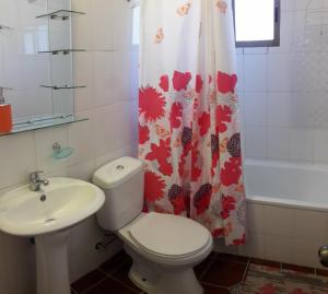 a bathroom with a toilet and a sink and a shower curtain at Posada del Jinete in San José de Maipo