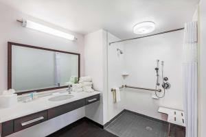 Hampton Inn & Suites Houston I-10 West Park Row, Tx的一间浴室