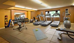 Fitness centrum a/nebo fitness zařízení v ubytování DoubleTree Suites by Hilton Minneapolis Downtown
