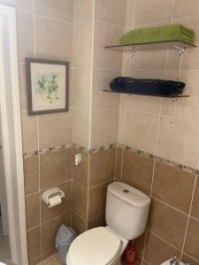 ein kleines Bad mit einem WC und einem grünen Handtuch in der Unterkunft Departamento a metros de Peatonal in Mendoza