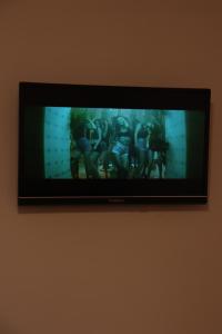 TV de pantalla plana colgada en la pared en LUCY B&B en Garni