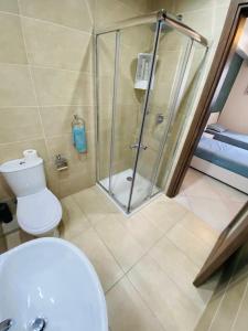 a bathroom with a toilet and a glass shower at Mela Apartment 1 in St. Paul's Bay