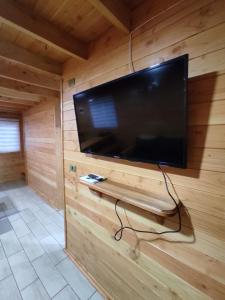 TV de pantalla plana grande en una pared de madera en Cabaña Los Alerces en Licán Ray