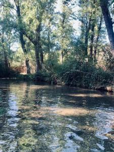 a stream of water with trees in the background at Azahares Apartamento turístico in El Bosque