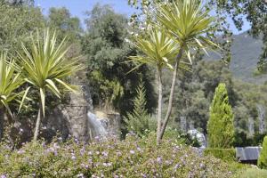 un grupo de palmeras y flores en un jardín en Azahares Apartamento turístico, en El Bosque