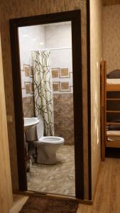 uma casa de banho com um WC e uma cortina de chuveiro em Old Byurakan Gouest House em Byurakan