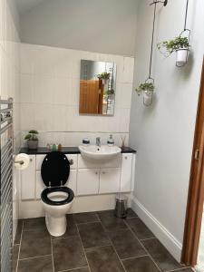 a bathroom with a toilet and a sink at The Red Lodge Annexe in Woodborough