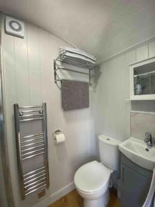 a small bathroom with a toilet and a sink at Drakes Mead Retreat - Shepherd's Hut in Axminster