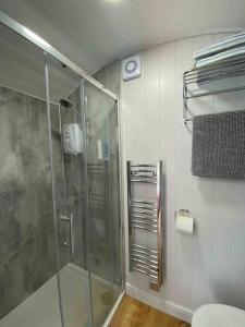 a bathroom with a glass shower with a toilet at Drakes Mead Retreat - Shepherd's Hut in Axminster