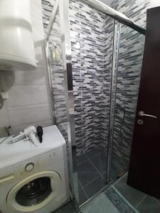 a bathroom with a washing machine and a shower at Apartman Sofka in Vranje