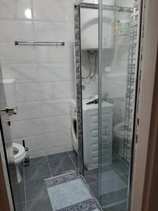 a bathroom with a toilet and a glass shower at Apartman Sofka in Vranje