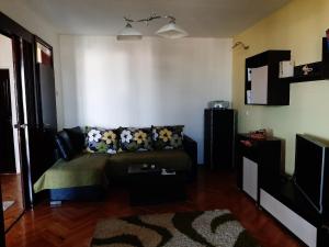 a living room with a couch and a television at Apartman Sofka in Vranje