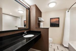 a bathroom with a sink and a toilet and a mirror at Fairfield Inn & Suites by Marriott Hershey Chocolate Avenue in Hershey