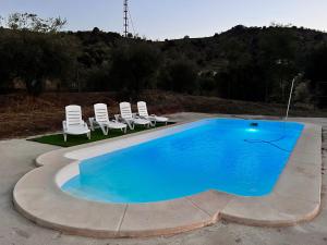 Fotografie z fotogalerie ubytování Villa María Teresa v Malaze