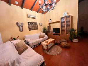 Fotografie z fotogalerie ubytování Villa María Teresa v Malaze