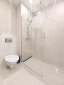 a white bathroom with a shower and a toilet at Kraków centrum in Krakow