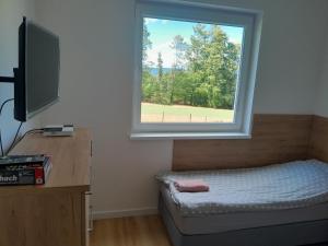 a bedroom with a window and a bed and a desk at Apartamenty pod Jagodną in Spalona