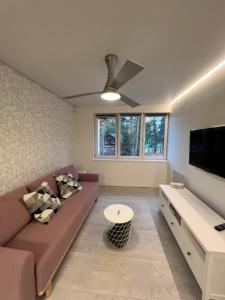 uma sala de estar com um sofá e uma televisão de ecrã plano em Palūšės Apartment em Paluse