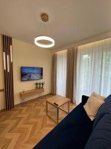 a living room with a blue couch and a table at Apartament Chabrowy ( centrum, garaż ) in Kielce