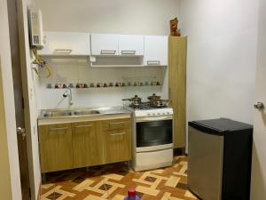 una pequeña cocina con fogones y fregadero en MODERN HOUSE full apartment-planta baja, en Lima
