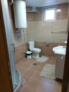 a bathroom with a toilet and a sink at Apartmani Milina in Lepterija