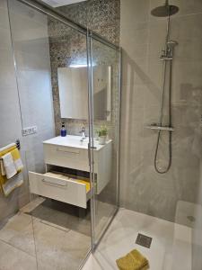 een badkamer met een douche, een wastafel en een spiegel bij Loft17 in Burgos
