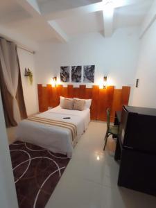 1 dormitorio con 1 cama blanca grande y TV en Central Palace Hotel en Fortaleza
