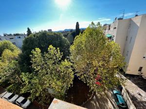 an overhead view of two trees in a parking lot at City Center Square DeLuxe Nest in Podgorica