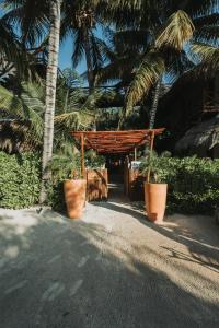 ホルボックス島にあるラス ヌベス デ ホルボックスの椰子の木と植物を植えた木造避難所