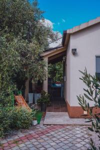 Vonkajšia záhrada v ubytovaní Holiday house with a parking space Orebic, Peljesac - 9482