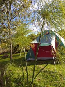 a tent sitting in the grass in a field at Iwoka Ecoturismo in La Calera