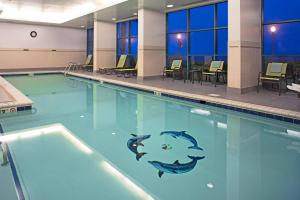 a swimming pool with a fish on the water at Courtyard Virginia Beach Oceanfront/South in Virginia Beach