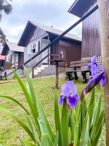un grupo de flores púrpuras frente a una casa en Pousada Cardoso en Cambara do Sul