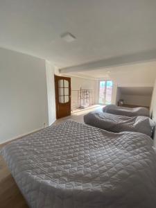 Легло или легла в стая в Struga Apartments