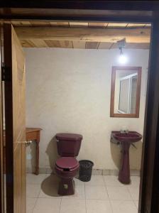 a bathroom with a purple toilet and a sink at Cabañas De Lolita En Barrancas del cobre in Areponapuchi