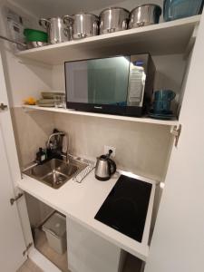 Kuchyň nebo kuchyňský kout v ubytování APARTMENT ANDROMEDA