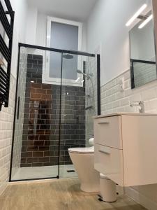 La salle de bains est pourvue d'une douche en verre et de toilettes. dans l'établissement Brand NEW Studio Centro, Atocha - Museums, à Madrid