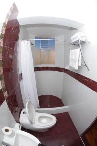 y baño pequeño con aseo y ducha. en Hostal Mirador Korichaska, en Puno