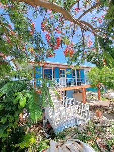 een blauw huis met een witte trap ervoor bij Mary & Matt lodge in Providencia