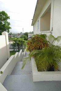 Afbeelding uit fotogalerij van The Shelton Tower 1 in Montego Bay