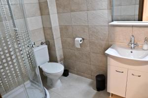 a bathroom with a toilet and a sink and a shower at Casa Mario in Sibiu