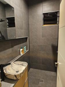 y baño con ducha, lavabo y espejo. en Executive Two Bedroom Villa For Hire in Nadi, en Nadi