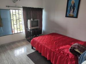 una camera con letto rosso e TV di Cabañas Villa Luisa a Norcasia