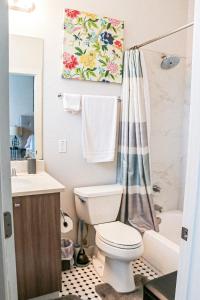 a bathroom with a toilet and a shower curtain at Cityscape 2 -Sleep 7 in Chattanooga