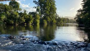 un fiume con alberi e rocce in acqua di Chalé de Pedra a Praia Grande